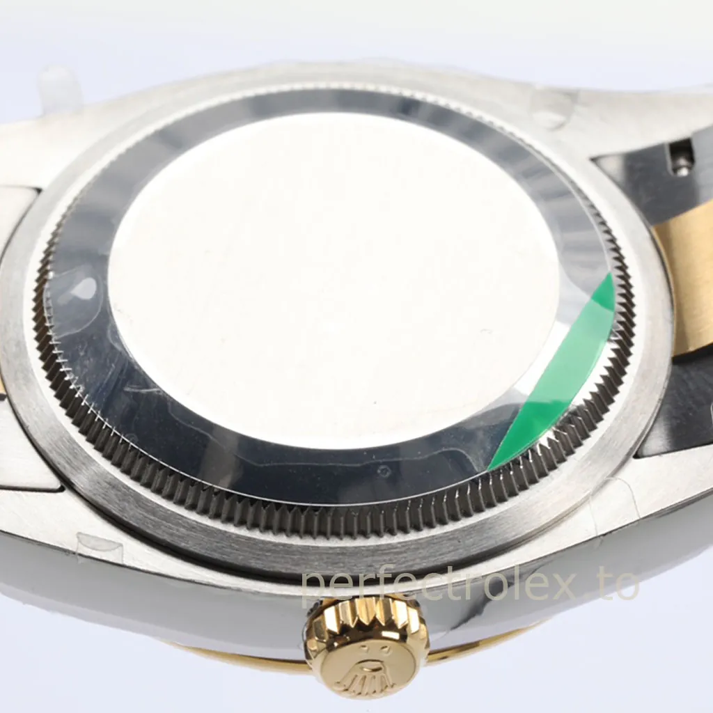 Rolex-Datejust-126233-0038-Golden-Palm-Motif-Dial-Replica-Watch-Two-Tone-Oyster-Bracelet-Back-View